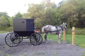 Amish